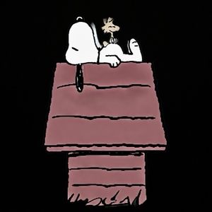 Meet your Posher, Caleb